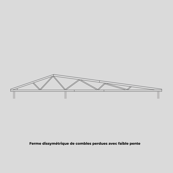 Ferme dissymétrique de combles perdues avec faible pente