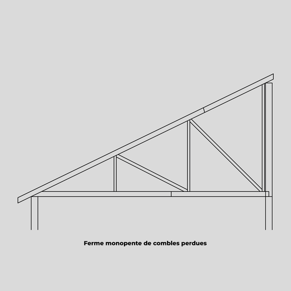 Ferme monopente de combles perdues