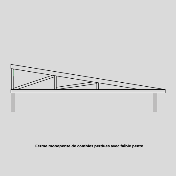 Ferme monopente de combles perdues avec faible pente